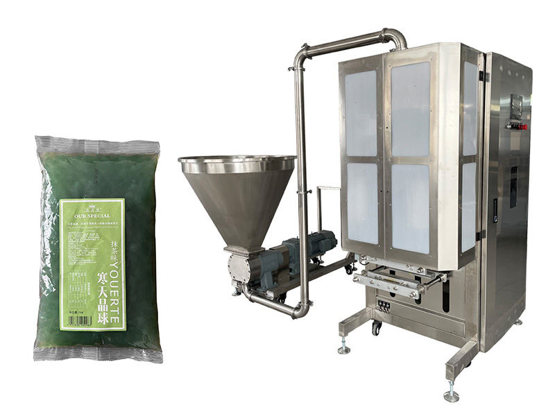 FM-G10全自動高速粘體稱重包裝機-轉子泵